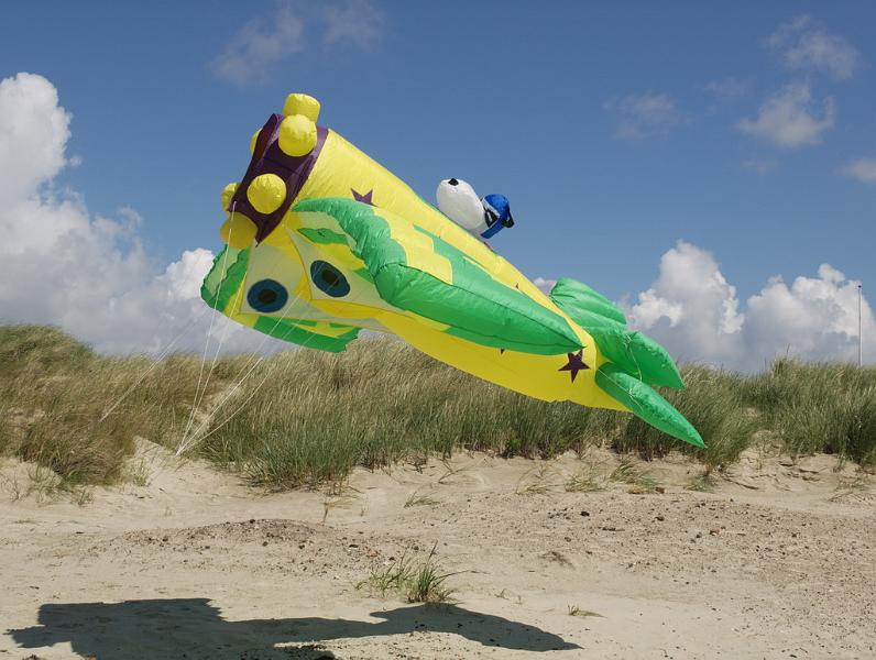 Fanø 2009 40.jpg